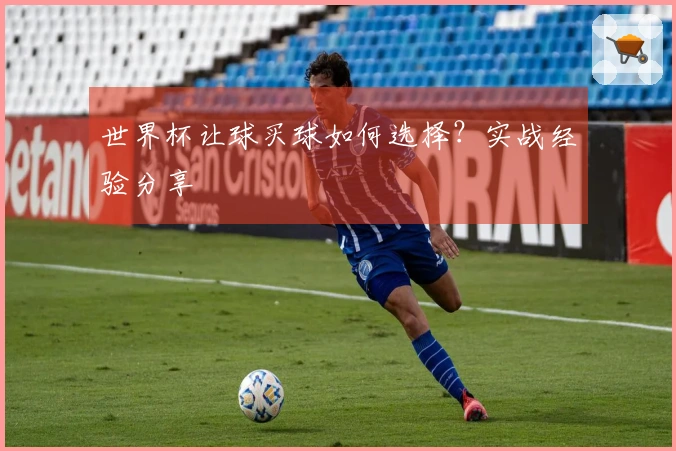 世界杯让球买球如何选择？实战经验分享