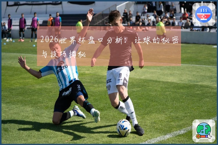 2026世界杯盘口分析：让球的秘密与技巧揭秘