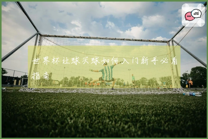 世界杯让球买球如何入门新手必看指南