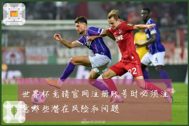 世界杯竞猜官网注册账号时必须注意哪些潜在风险和问题