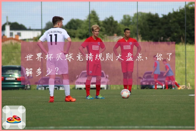 世界杯买球竞猜规则大盘点，你了解多少？