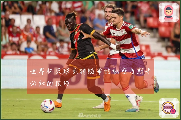 世界杯买球竞猜赔率的秘密与新手必知的技巧