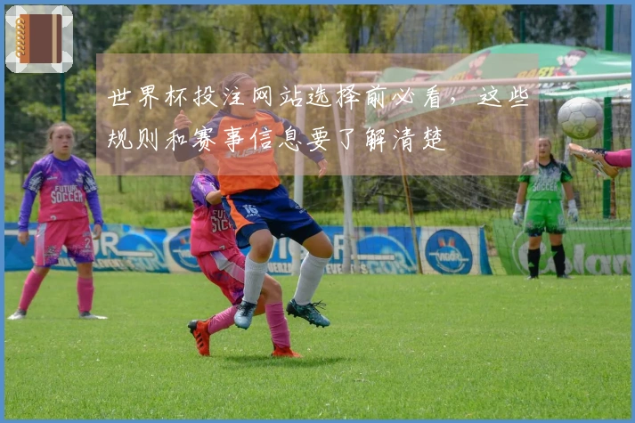 世界杯投注网站选择前必看，这些规则和赛事信息要了解清楚