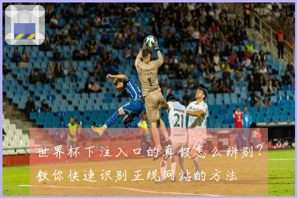 世界杯下注入口的真假怎么辨别？教你快速识别正规网站的方法