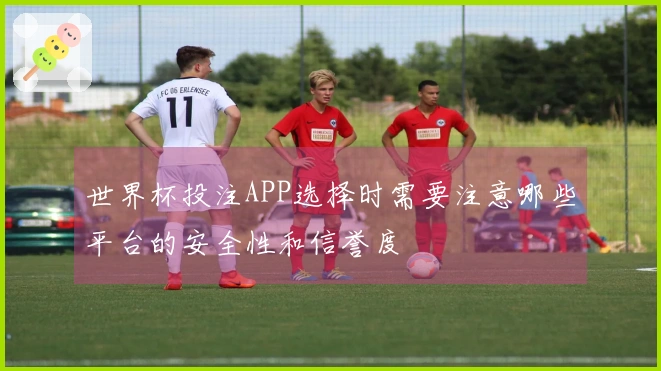 世界杯投注APP选择时需要注意哪些平台的安全性和信誉度