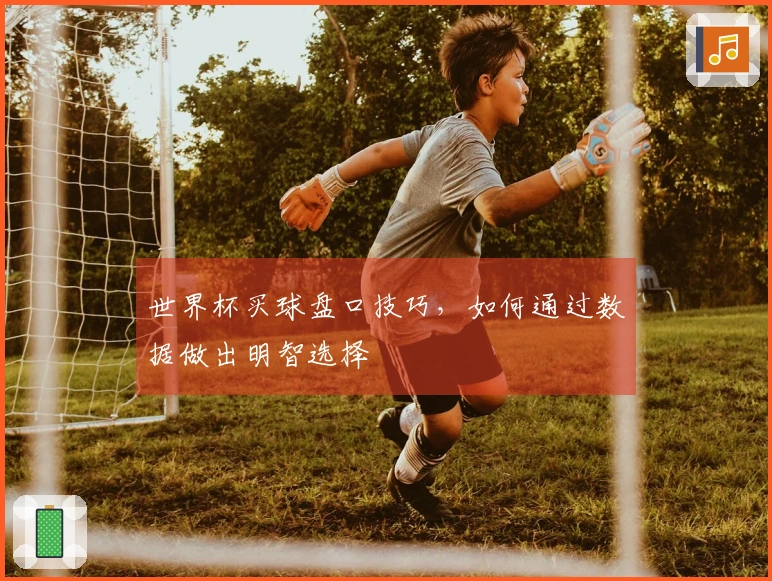 世界杯买球盘口技巧，如何通过数据做出明智选择