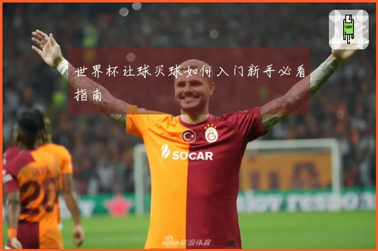 世界杯让球买球如何入门新手必看指南